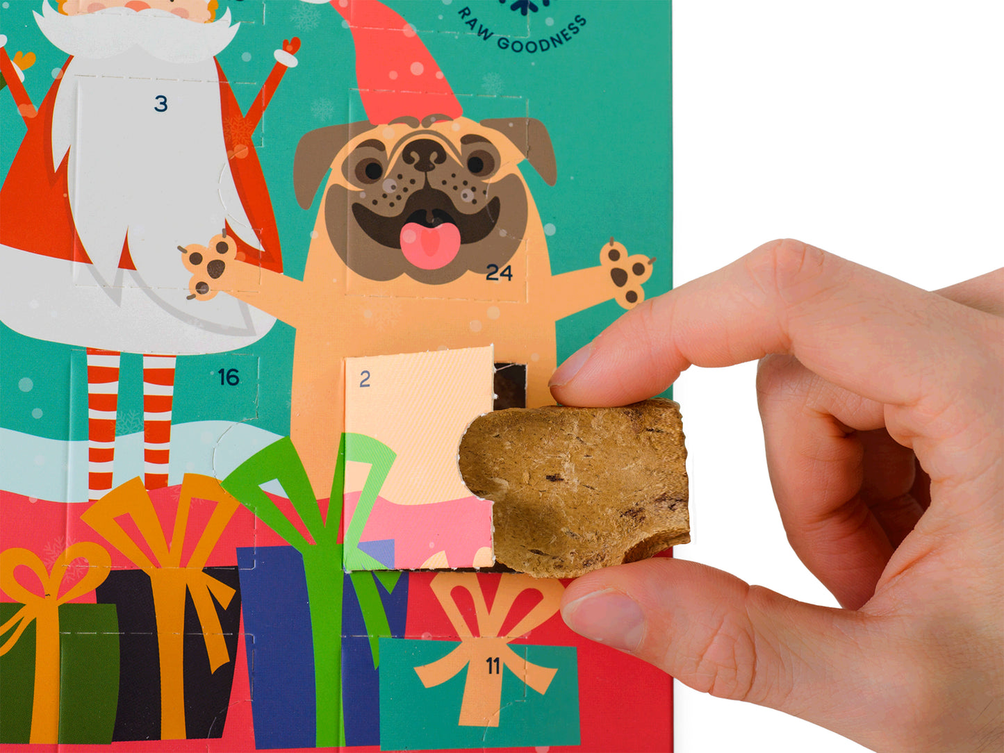 Holding a dog treat in front of Topflite Hound Advent Calendar