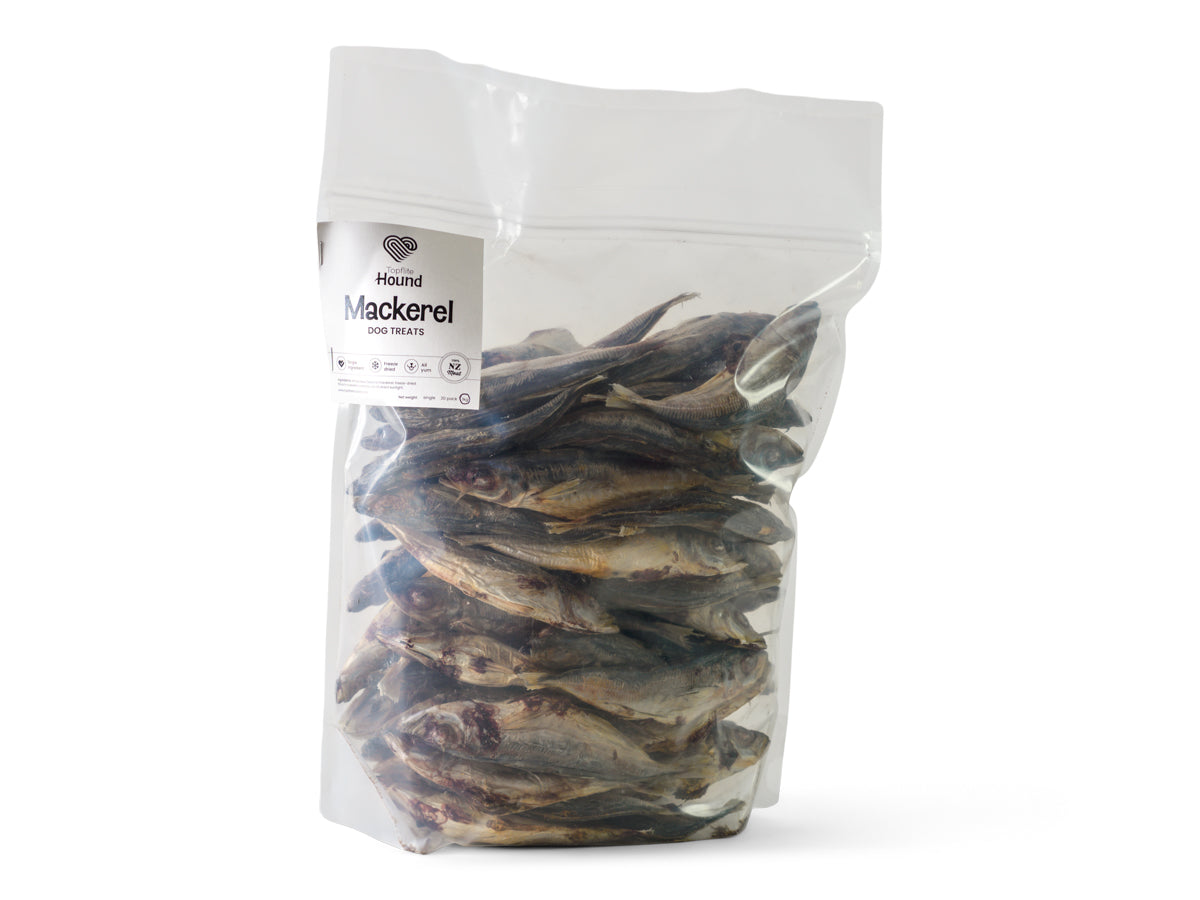 Whole Mackerel