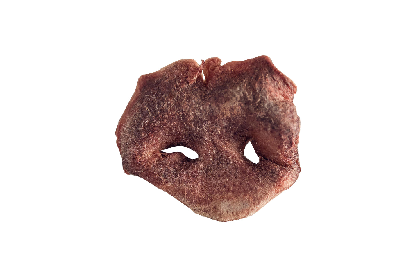 Freeze dried Topflite Pork Snout