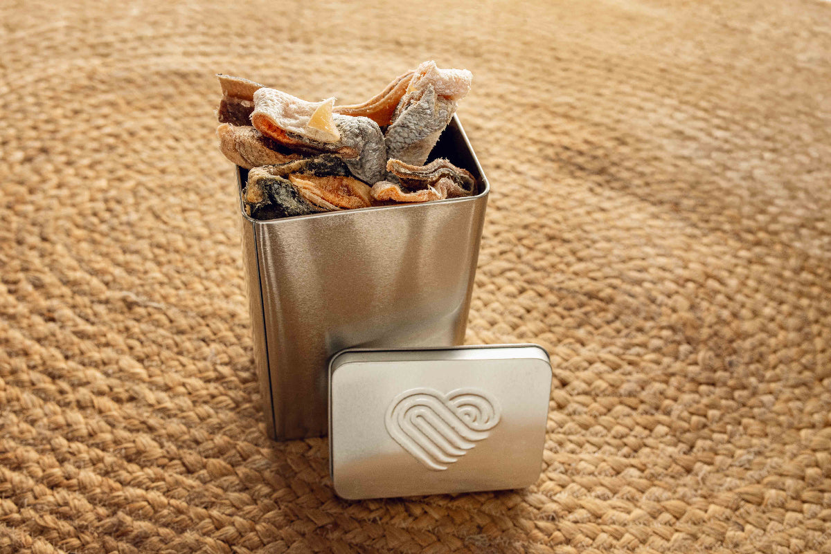 Topflite storage tin filled with Hound Salmon Skins