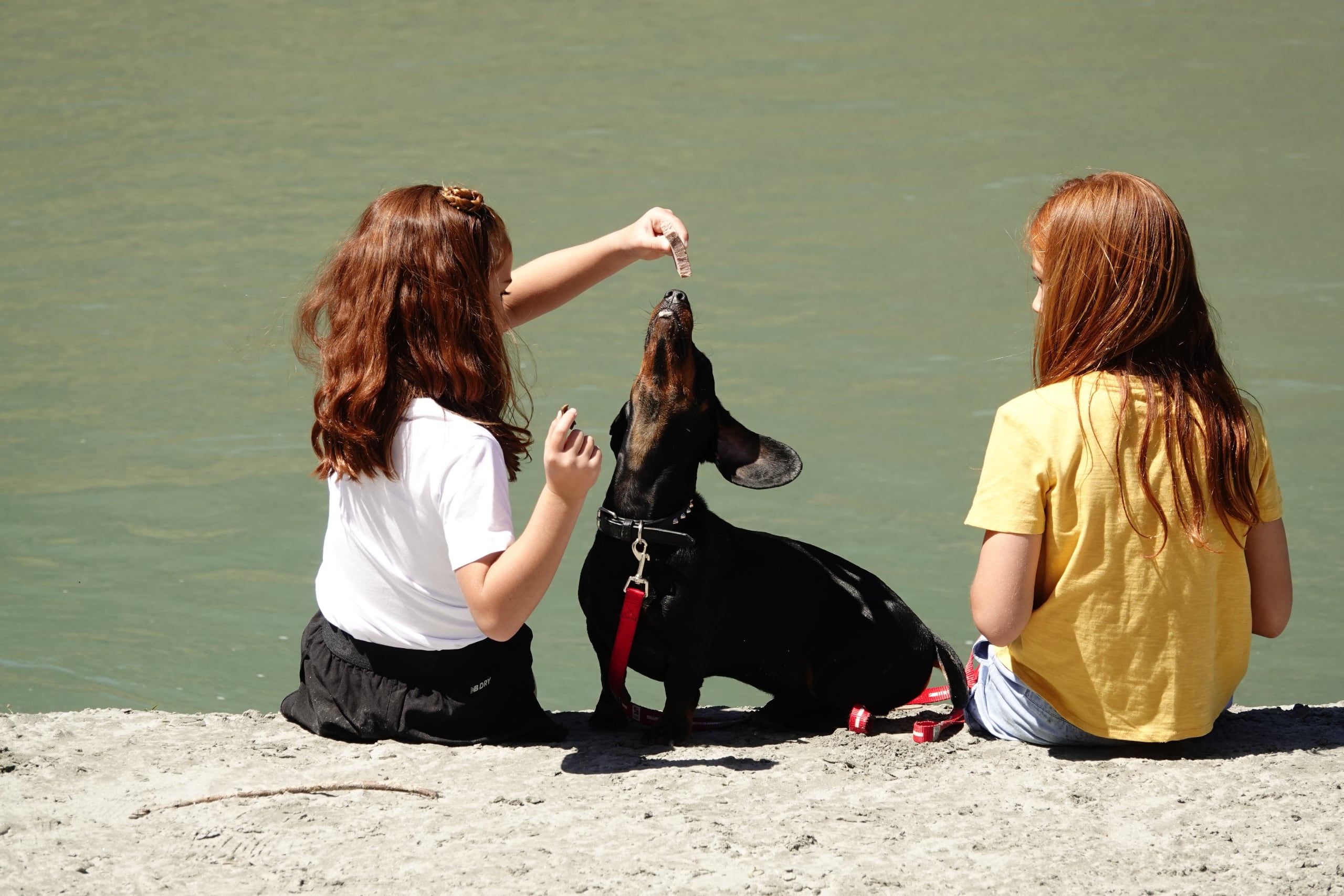 Topflite Hound dog treats two girls with dog by the lake