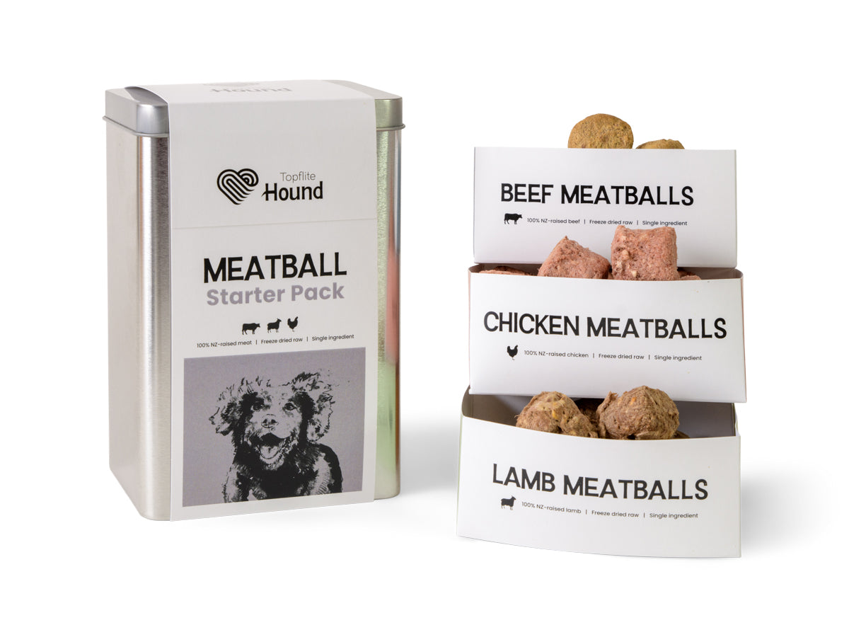 Topflite Hound Meatball Starter Pack