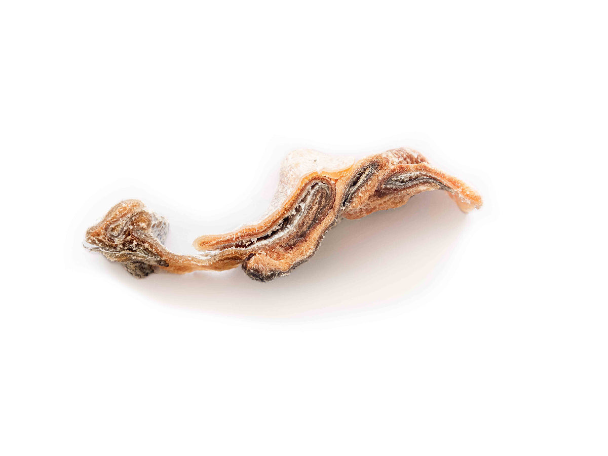Topflite Hound Salmon Skin