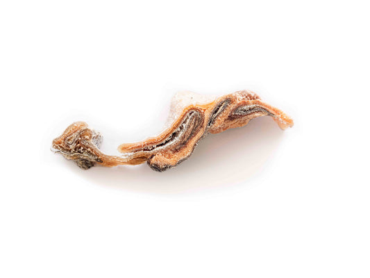 Topflite Hound Salmon Skin