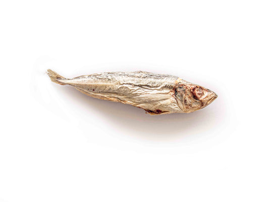 Topflite Hound single Mackerel