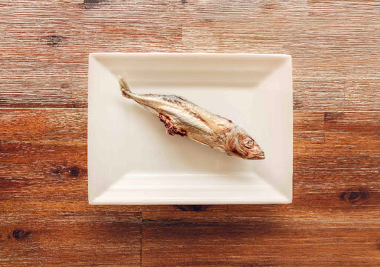 Topflite Hound single Mackerel on plate
