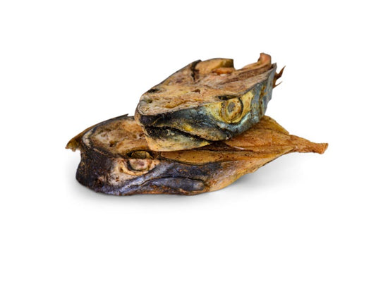 Topflite Hound Salmon Steak